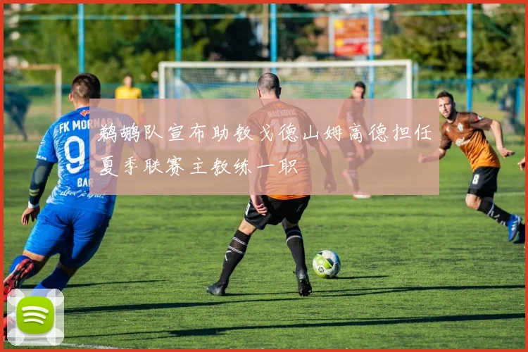 鹈鹕队宣布助教戈德山姆高德担任夏季联赛主教练一职